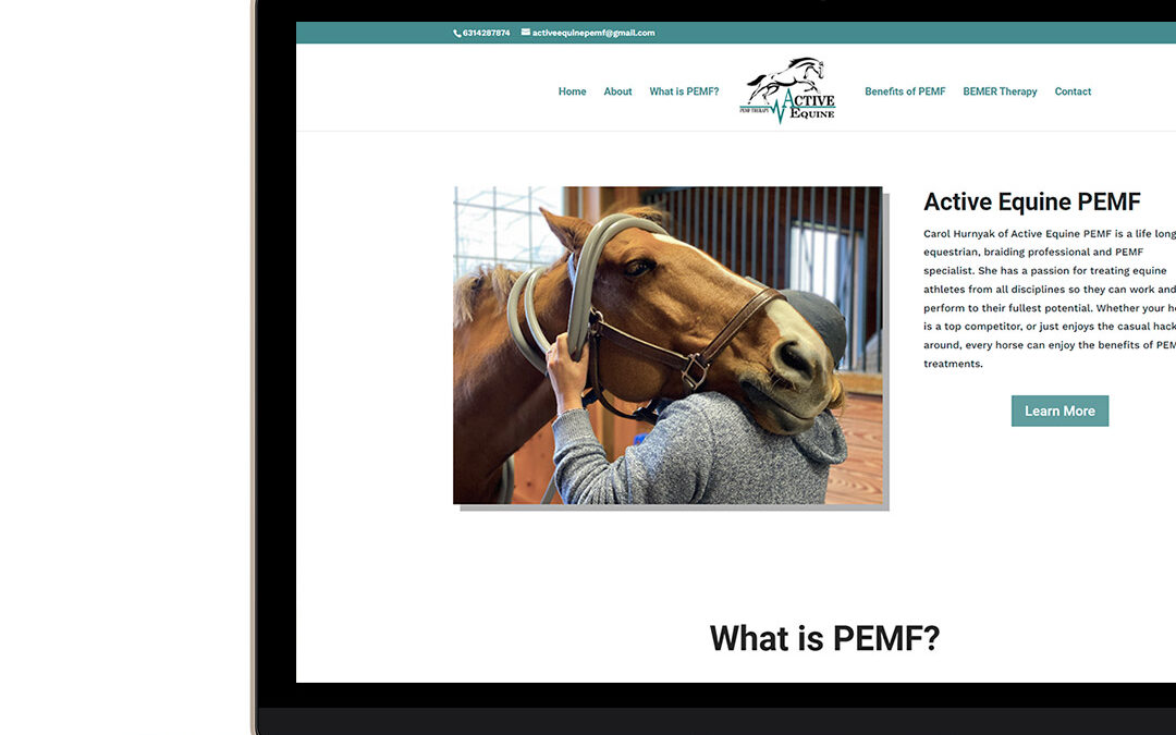 Active Equine PEMF Website Design