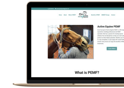 Active Equine PEMF Website Design