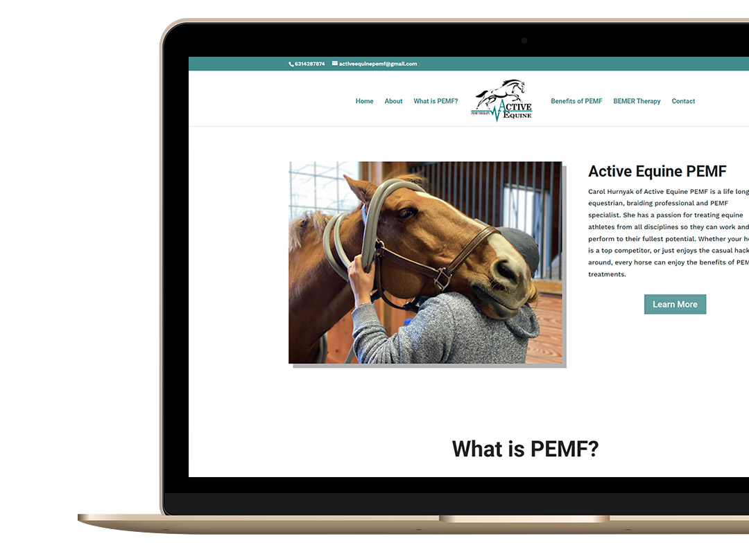 Active Equine PEMF Website Design